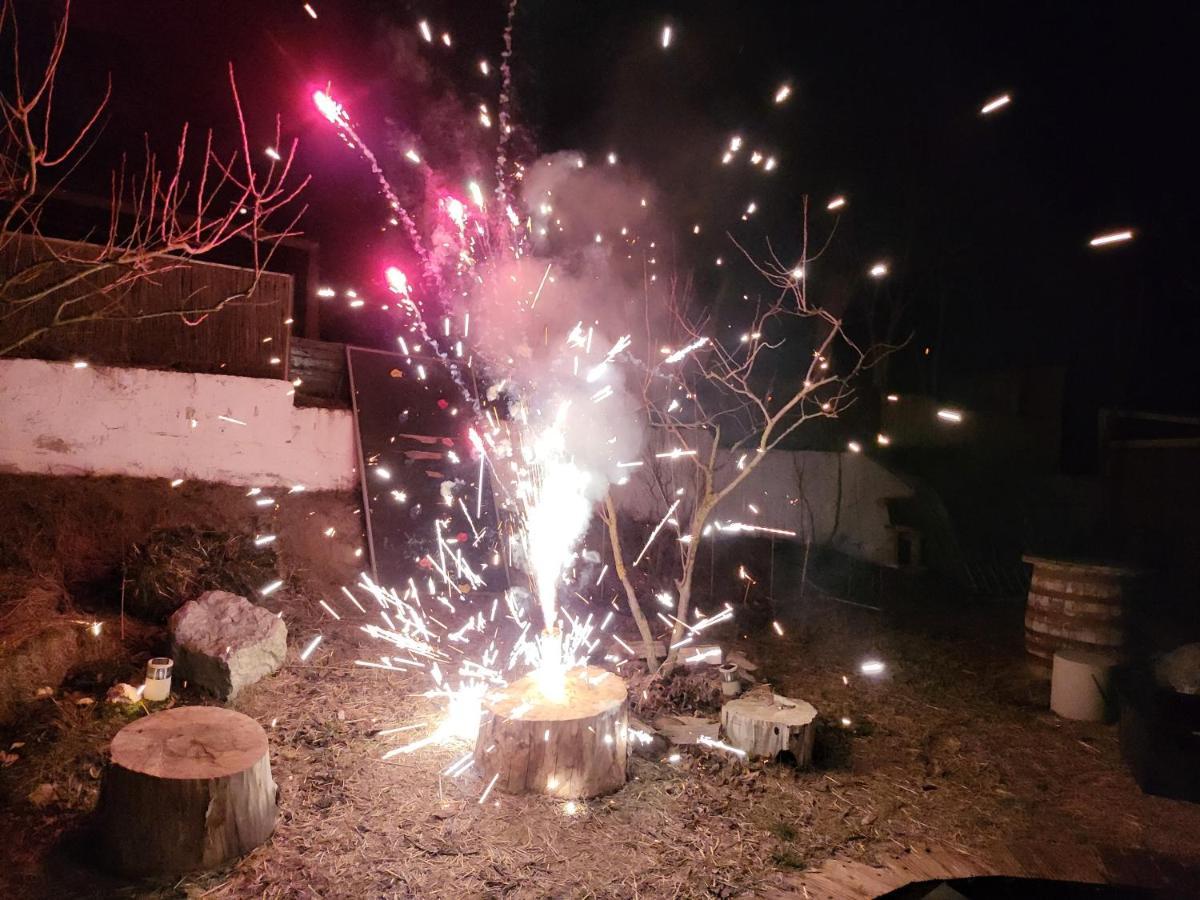 Pensiunea 4 Salcii Băltenii de Sus Kültér fotó